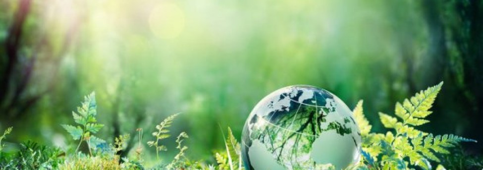 Financing the global energy transition through green bonds